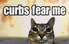 Curbs Fear Me Funny Cat Meme HFN GenZ Unhinged Magnetic Cute Car Magnet