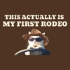 This Actually Is My First Rodeo HFN Car Magnet Funny Cowboy Cat Meme Cute Car Accessories