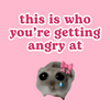 This is who youre angry at Sad Hamster HFN Car Magnet Crying Funny Cute Pink Coquettte Car Decor