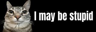 10x3 inch I May be Stupid  Cat Meme Car Bumper Magnet  Funny Meme Cute Kitty Cat Car Magnet Decor  W