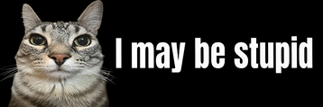 10x3 inch I May be Stupid  Cat Meme Car Bumper Magnet  Funny Meme Cute Kitty Cat Car Magnet Decor  W