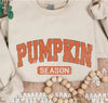 Retro Pumpkin Season Sweatshirt – Cozy Fall Crewneck for Autumn Lovers LN