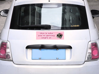 This is who youre angry at Sad Hamster HFN Car Magnet Crying Funny Cute Pink Coquettte Car Decor
