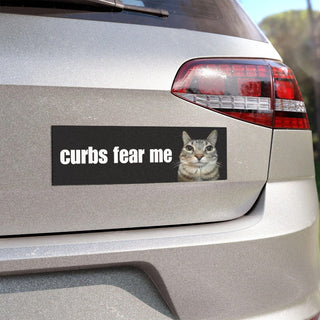 Curbs Fear Me Car Bumper MAGNET HFN Funny Cat Meme Gen Z Unhinged Car Accessory Cute Magnet