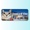 I Eated The Gas Funny Cat Meme HFN Car Magnet Gen Z Unhinged