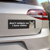 Don't Tailgate Me I Have Rabies Cat Meme Car Bumper Magnet HFN Funny Meme Cute Kitty Cat Gen