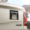 10x3 inch I May be Stupid Cat Meme HFN Car Magnet Funny Meme Cute Kitty Cat Car Magnet Decor  W