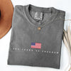 TT 250 Years of Freedom Shirt  Patriotic Comfort Colors Tee  America 250th Birthday Shirt  USA Flag T Shirt  July 4th Graphic Tee  Americana NNA