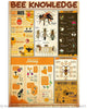 Beautiful Bee Knowledge Wall Canvas HG