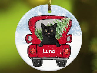 Cat Car Ornaments LH