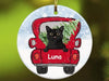 Cat Car Ornaments LH