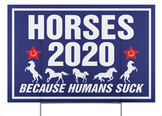Gift For Horse Lover Horse 2020 Because Humans Suck Yard Sign LH