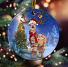 CHRISMAST CAMEL Ornament LH
