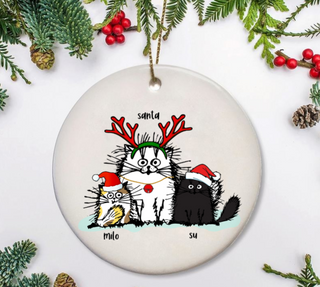 Funny Cat Christmas Ornaments LH