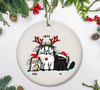 Funny Cat Christmas Ornaments LH