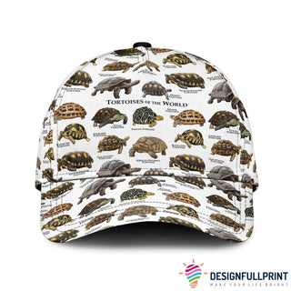 Gift For Turtle Lover Turtle Tortoises Of The World Hat Cap HG