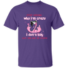 CC I dont ask why you are so stupid Funny Flamingo Shirt, Flamingo Lover Shirt, Flamingo Tee