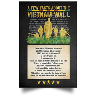Vietnam Veteran A few Fact about Vietnam Wall POSTER LN