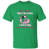 CC I dont ask why you are so stupid Funny Flamingo Shirt, Flamingo Lover Shirt, Flamingo Tee