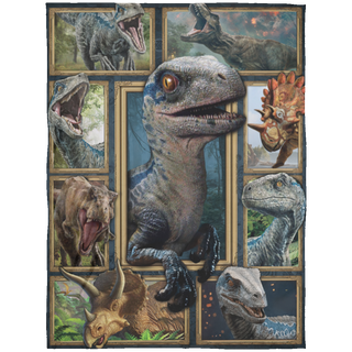 Dinosaur Fleece Blanket