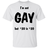 Pride Gift For LGBT I'm Not A Gay
