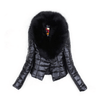 Elegant Fur Coat