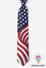 Waves American Flag Tie HG