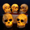 LED Skull Lamp for House Decor