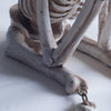 Halloween Decorations Resin Skull