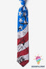 We The People American Flag Tie HG