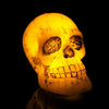 LED Skull Lamp