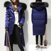 Women's Winter Parka
