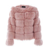 Faux Fur Coat